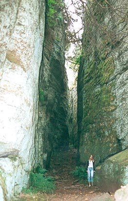  Borr�s sk�ra, V�r�, Halland. 